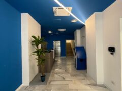 Corridoio moderno con pareti blu e pianta decorativa.