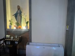 Statua religiosa con piante e candele accanto a condizionatore.