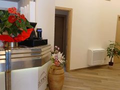 Interno di un ristorante con piante decorative e bancone.
