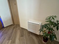 Corridoio con porta, condizionatore e pianta in vaso.