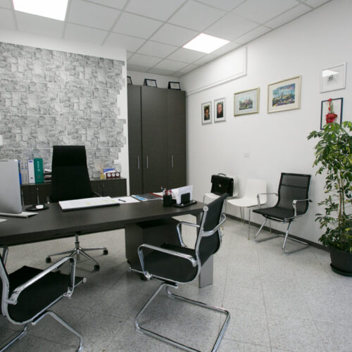 Ufficio moderno con scrivania, sedie e piante.
